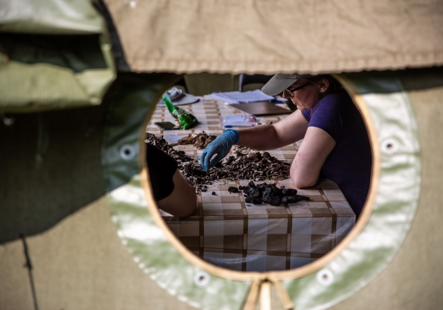 Dolina Smierci w Chojnicach