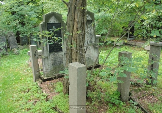 jurajskie cmentarze zydowskie