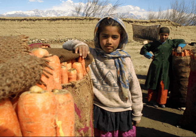 dzieci w afganistanie
