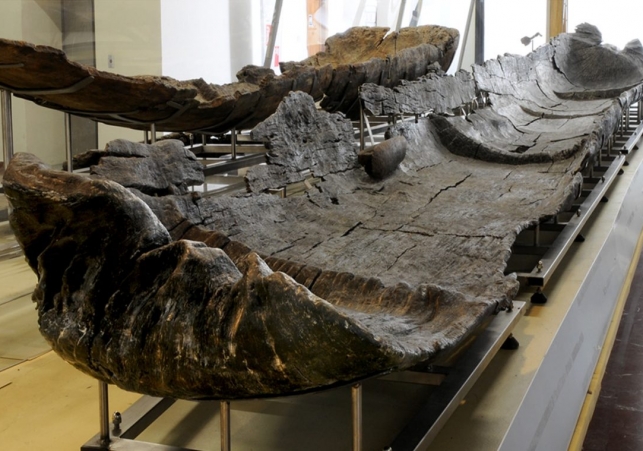 kajak liczacy 7000 lat