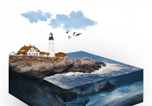 współistnienie form zwierzęcych i roślinnych