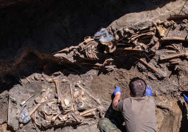 odkrycie na Polach Igielskich