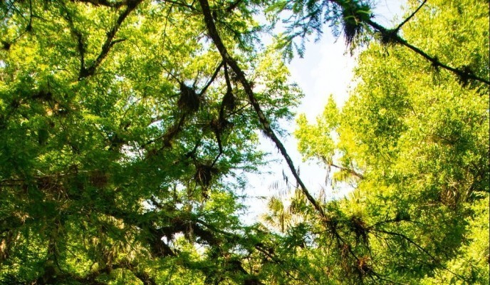 pexels-photo-2108172