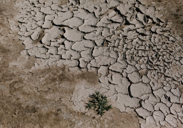 zmiana klimatu w polsce