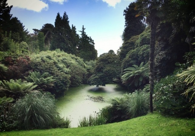 ostoja dziewczej przyrody