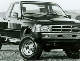 big_glownekonf_1156368427