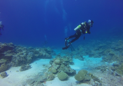 legendarne miasto Dwarka