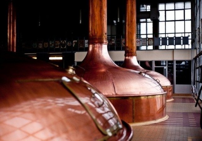 grupa zywiec browar w lezajsku