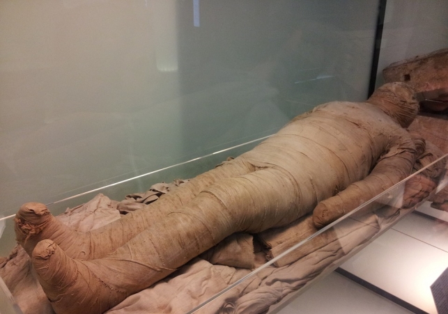 warsztaty do mumifikacji